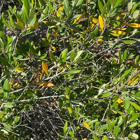 Casa Titty Nyaraló Cannigione