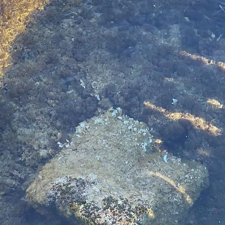 Nyaraló Casa Titty Cannigione