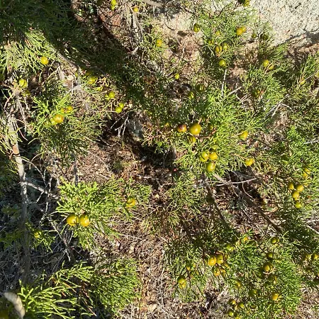 Nyaraló Casa Titty *